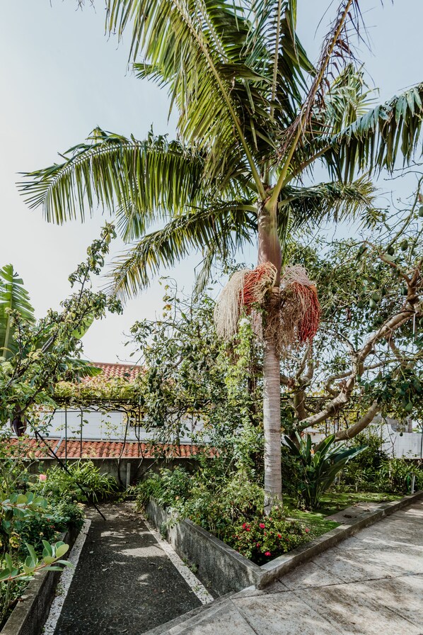 Property grounds - Funchal City View Gardens I (Funchal)