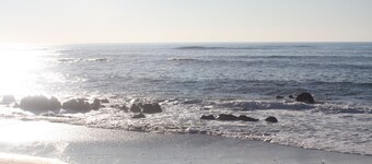 Spacious and bright apartment just a stone's throw from the beach and pine forest  