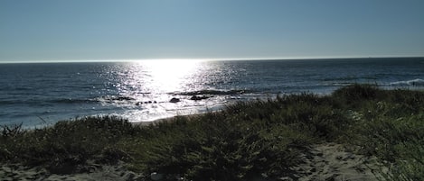 Vlak bij het strand