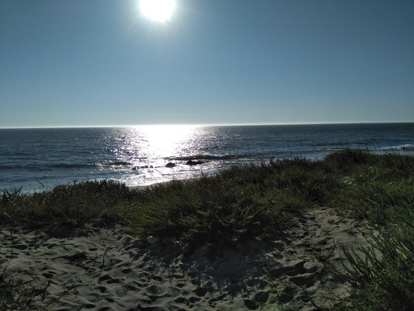 Vlak bij het strand