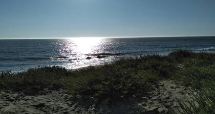 Grand appartement moderne et lumineux prĂšs de la plage et de la forĂȘt de pins Ă Amorosa