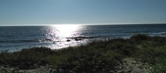 Spacious and bright apartment just a stone's throw from the beach and pine forest