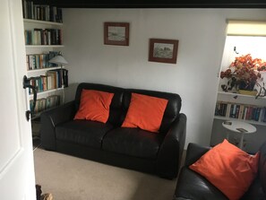 Televisio, DVD-soitin, kirjoja, videokirjasto