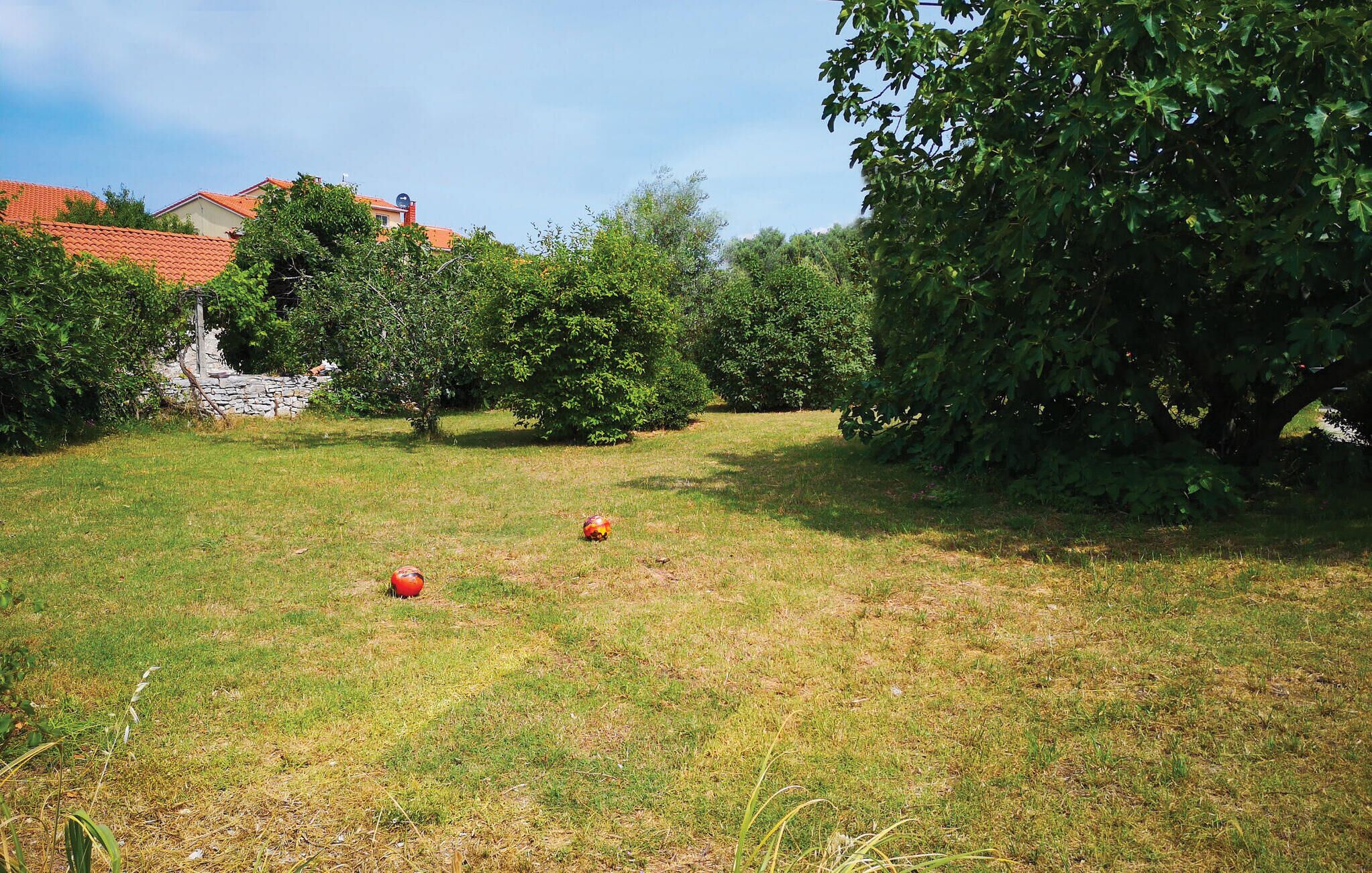A grassy area with trees and a stone wall.