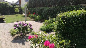 Un jardin avec un chemin pavé, différents arbustes et plantes à fleurs.