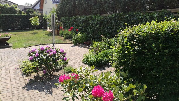 A garden with a paved walkway, various shrubs, and flowering plants. - Apartment in Bansin (Seebad Bansin)