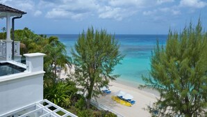 Property grounds - Old Trees - Condo 301 Penthouse (Paynes Bay)