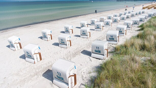 Una playa con hileras de sillas de playa numeradas, marcadas con el letrero "OASE", dispuestas sobre la arena.