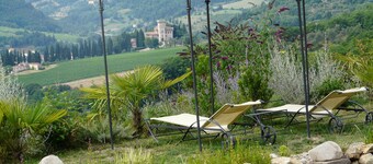 Convert your vacation into a highly regenerating life experience.