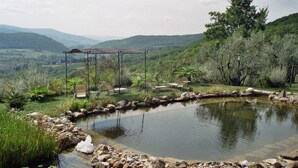 A tranquil pond with a swing set and lounge chairs, surrounded by lush greenery and hills. - Convert your vacation into a highly regenerating life experience. (Pontassieve)