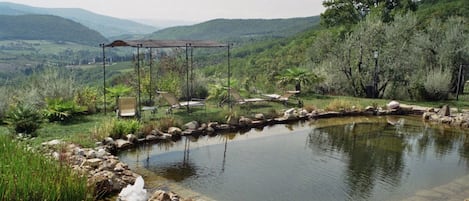 Alberca