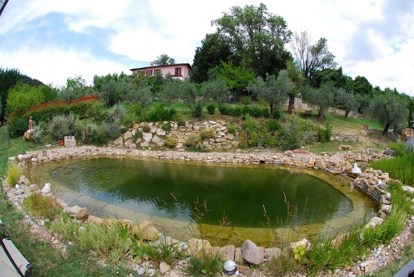A pond surrounded by rocks and greenery, with a house in the background. - Convert your vacation into a highly regenerating life experience. (Pontassieve)