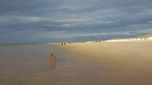 Spiaggia