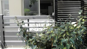 Ein Balkon mit Blick ins Innere eines Gebäudes, einem Fenster und einer Pflanze im Vordergrund.