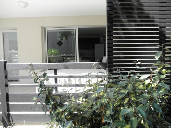A balcony with a view of a building's interior, a window, and a plant in the foreground.