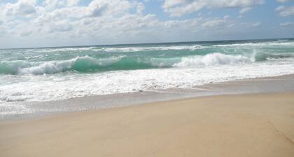 800m from the ocean apartment 45m2 ***4 pers terrace17m2 private parking wifi sheets