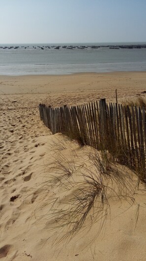 Plage à proximité
