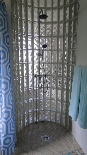 Bathtub, hair dryer, bidet, towels