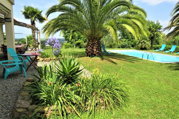 A pool area with a palm tree, a table with chairs, and a grassy lawn.