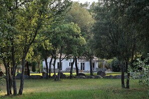 Ulkopuoli