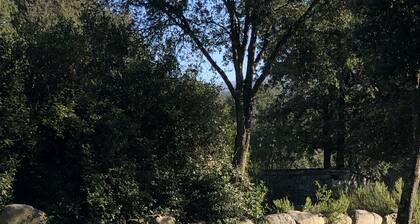 Domaine de Bracciole CORTE, villa avec piscine privée, parc boisé 20ha, riviÚre