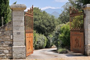 Property grounds - Domaine de Bracciole CORTE, villa with private pool, wooded park 20ha, river (Corte)