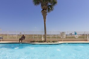 Indoor pool, outdoor pool