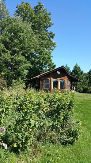 A wooden cabin with a sloped roof, surrounded by dense greenery and trees.