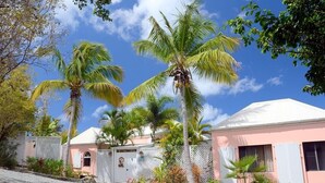 A row of pink cottages with white roofs, surrounded by palm trees and a clear blue sky. - Coconuts: Indoor/Outdoor Living, Spa, Heated Pool & Privacy! (St. John)