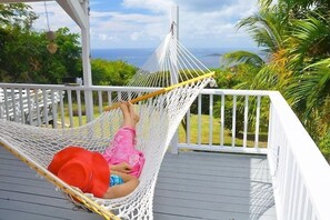 Property grounds - Coconuts: Indoor/Outdoor Living, Spa, Heated Pool & Privacy! (St. John)