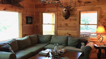 TV connectée, cheminée, lecteur de DVD, table de tennis de table