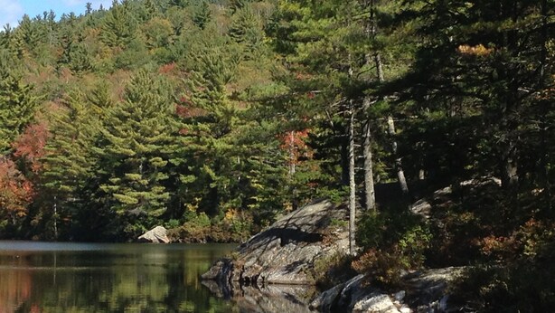 A serene lake surrounded by dense forest with a rocky shoreline.