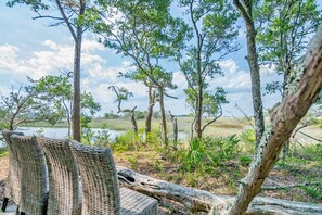 Property grounds - Private middle island home with nature views; modern design with three golf carts (Bald Head Island)
