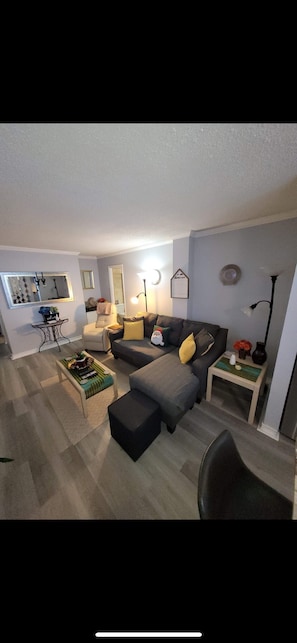 Smart TV, DVD player, books