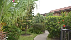 Un chemin qui traverse un jardin où l’on trouve différentes espèces de plantes, avec un bâtiment visible au loin.
