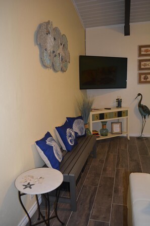 Smart TV, DVD player, books, video library