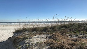 A beach with sand dunes and tall grasses.