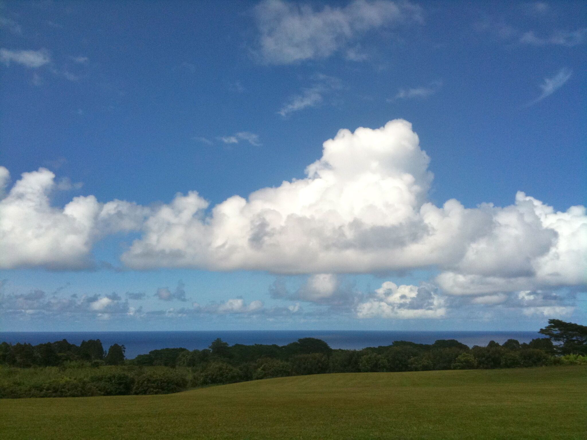 Un campo cubierto de hierba con una gran nube en el cielo.