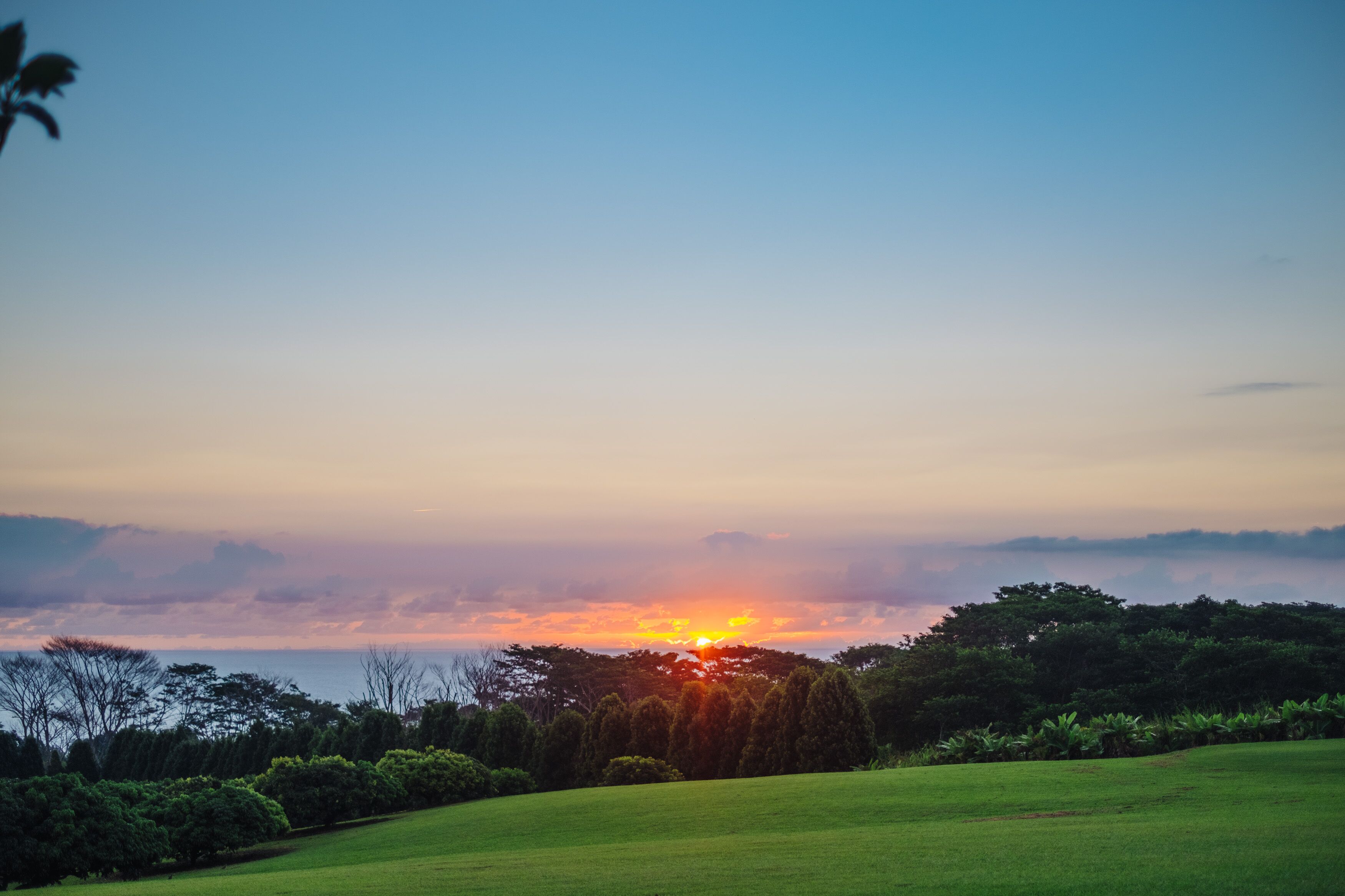 A sunset over a grassy landscape with trees and a clear sky.