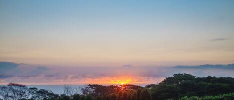 A sunset over a grassy landscape with trees and a clear sky.