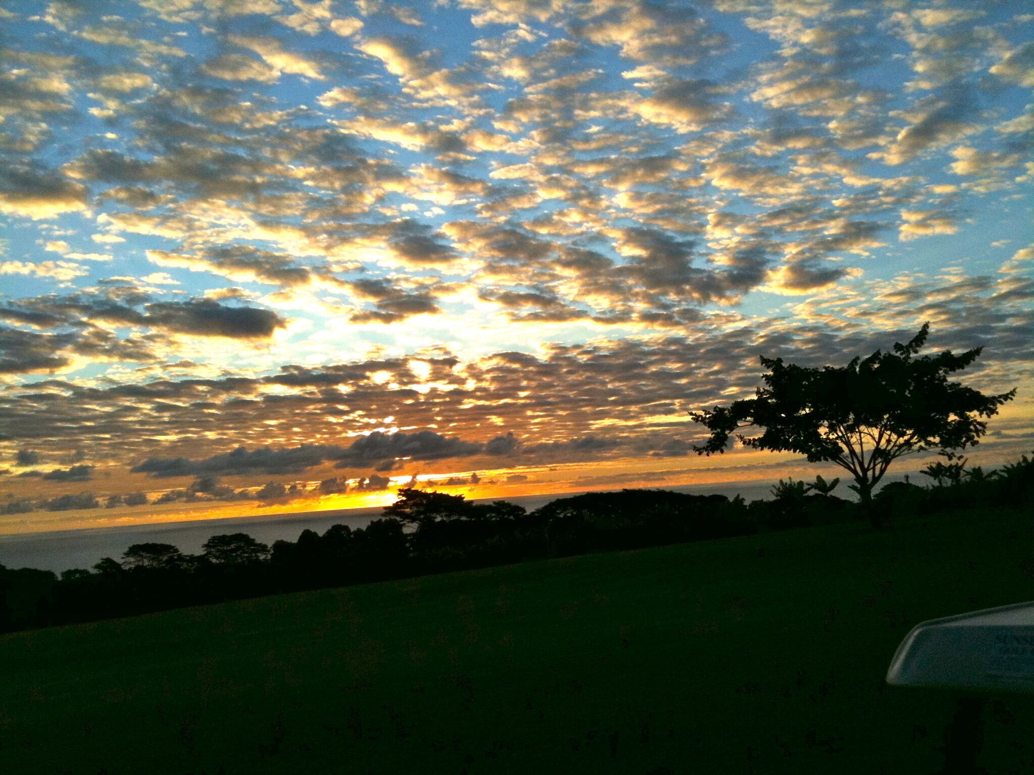 A sunset with clouds over a field and a tree.