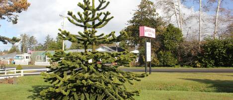 Khuôn viên nơi lưu trú