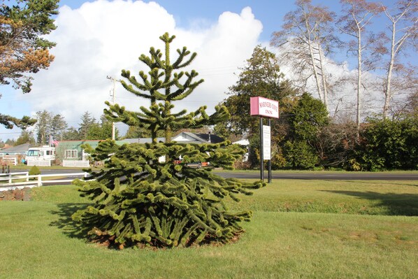 A Christmas tree in front of a sign for Mariners Cove Inn.