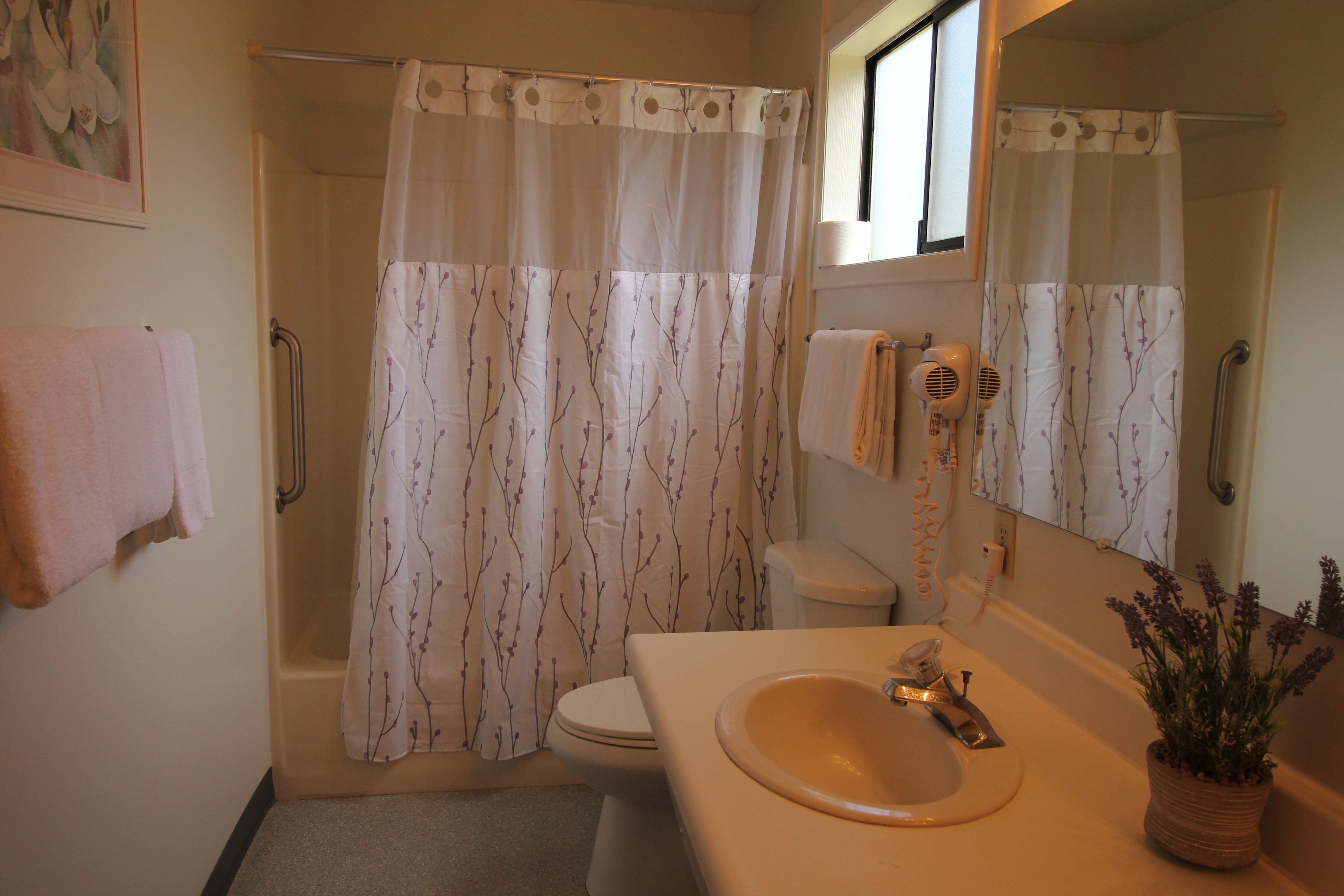Une salle de bain équipée d’une douche, de toilettes, d’un lavabo et d’un miroir.