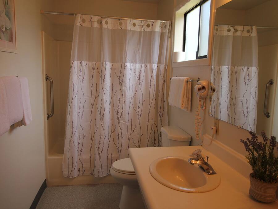A bathroom with a shower, toilet, sink, and a mirror.