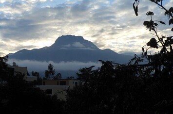 Imbabara in all its beauty!!!!