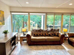 Tv, pejs, dvd-afspiller