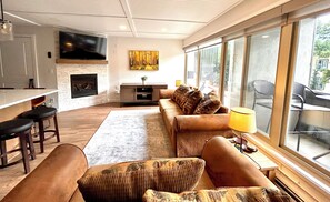 Tv, pejs, dvd-afspiller