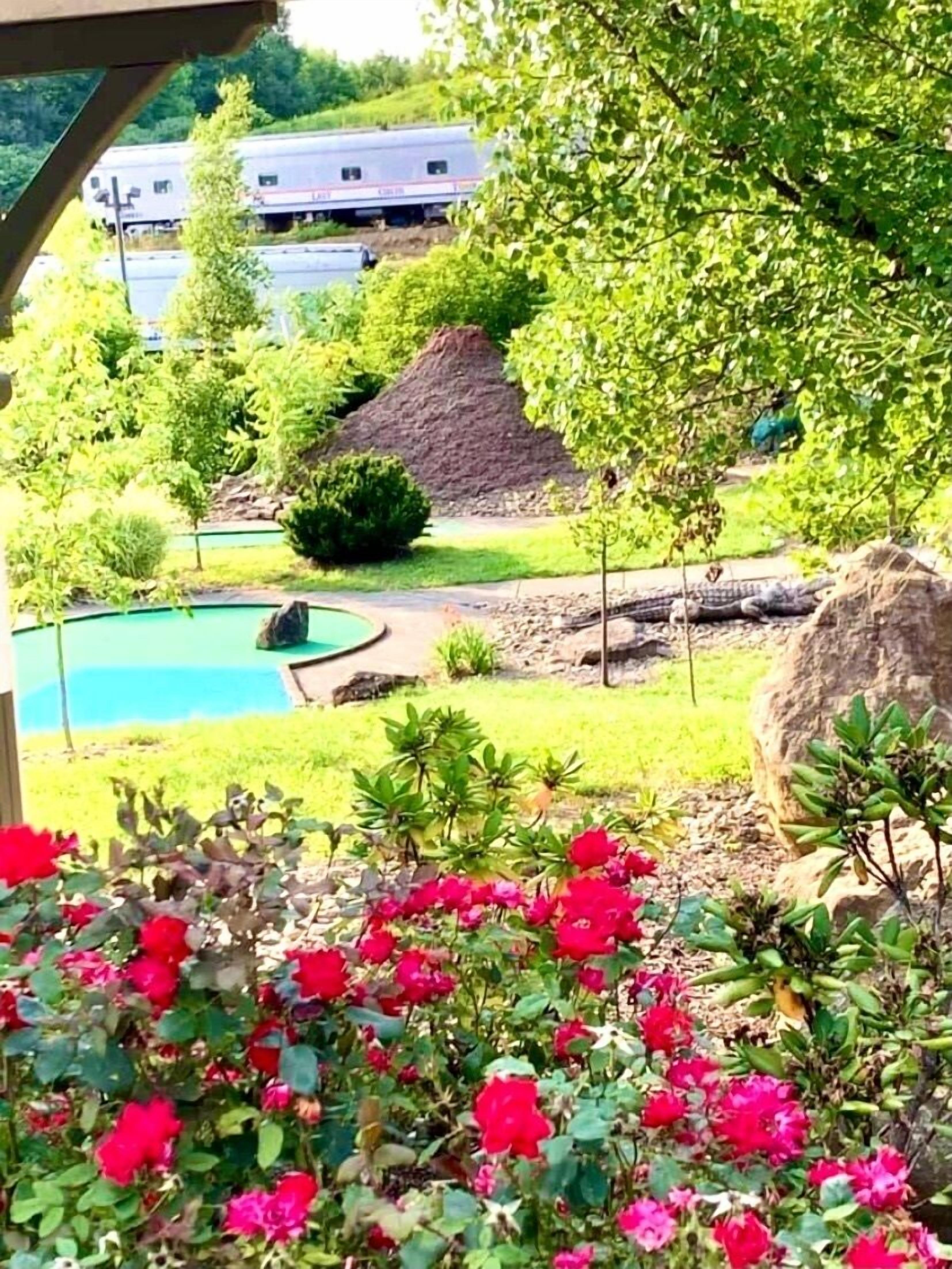 Un jardin aménagé avec une piscine, un grand rocher et des fleurs rouges au premier plan.