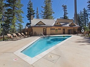 Relax by the pool surrounded by tall pine trees and lounge chairs.